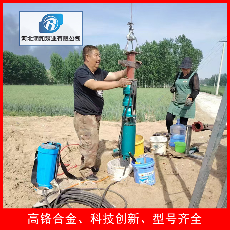 250QJ 农用潜水泵 园林灌溉 现货供应